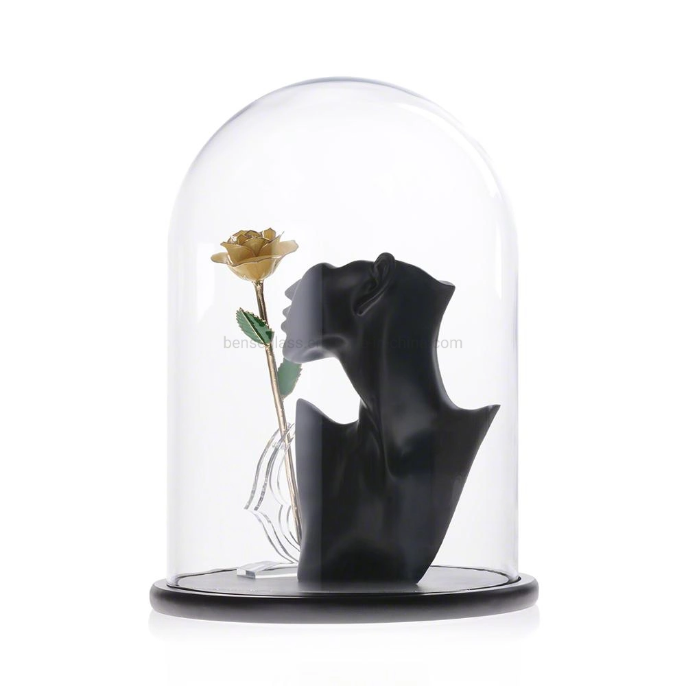 New Arrival Large Glass Dome Display Case Glass Cover